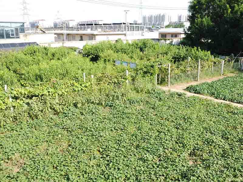 利升体育登录入口官网